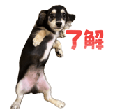 845835621