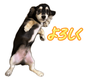 845835622