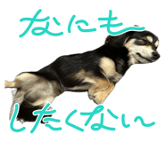 845835625