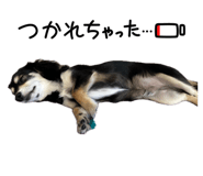 845835626