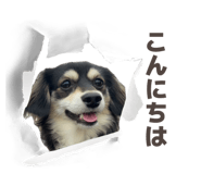 845835634