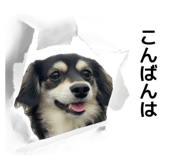 845835635