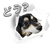 845835637