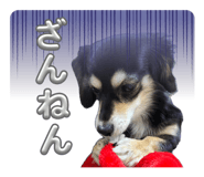 845835655