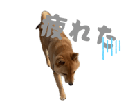 845835941