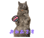 845837247