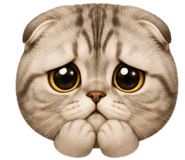 845838241