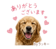 845838765