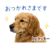 845838776