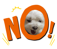 845841131