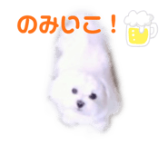 845841144