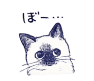 845841194