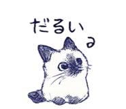 845841196
