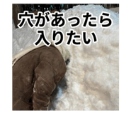 845841333