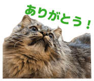 845841398