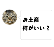 845841404