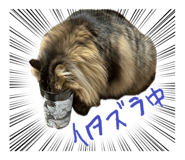 845841408