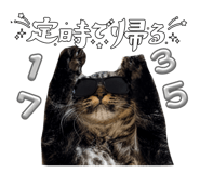 845841413