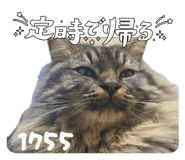 845841414