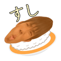 845841566