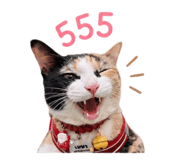 845841803