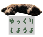 845841875
