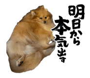 845841922
