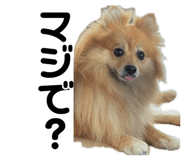 845841926