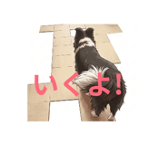 845842028
