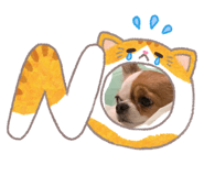 845842117