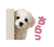 845842237
