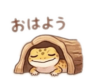 845842266