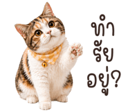 845842410