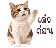 845842419