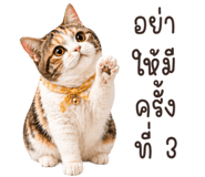 845842422
