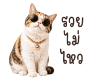 845842423