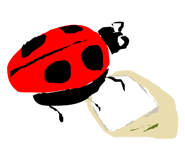 845842443