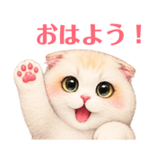 845843300