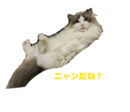 845843305
