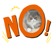 845843433