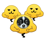 845843705