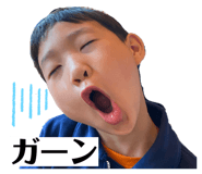 845844046