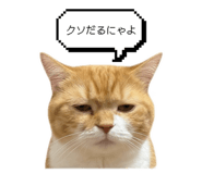 845844911