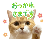 845844915