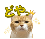 845844916