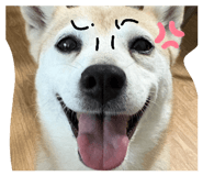 845846356