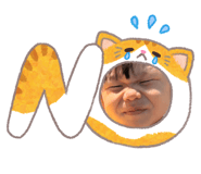 845846441