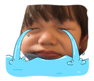 845846442