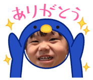 845846444