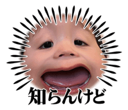 845846451